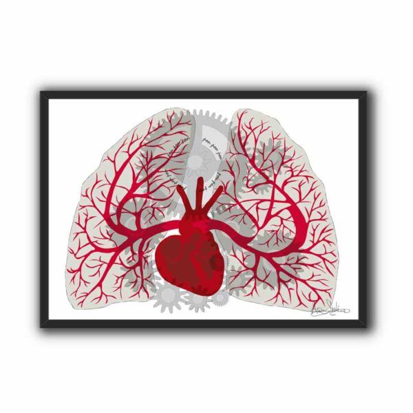 Corazón y pulmón