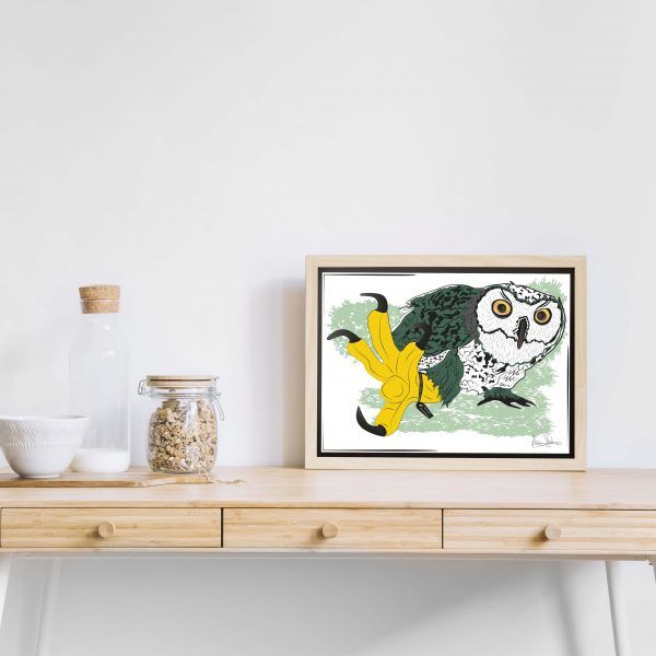 lechuza con pata amarilla